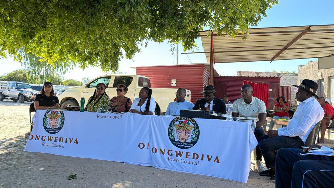 Ongwediva Town Council