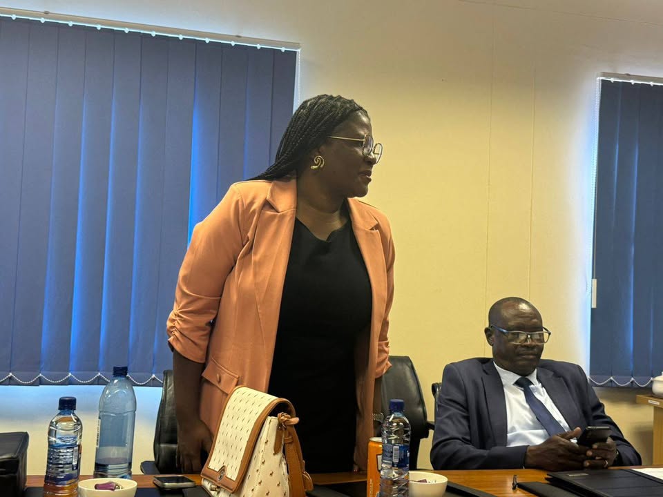 Ongwediva Town Council