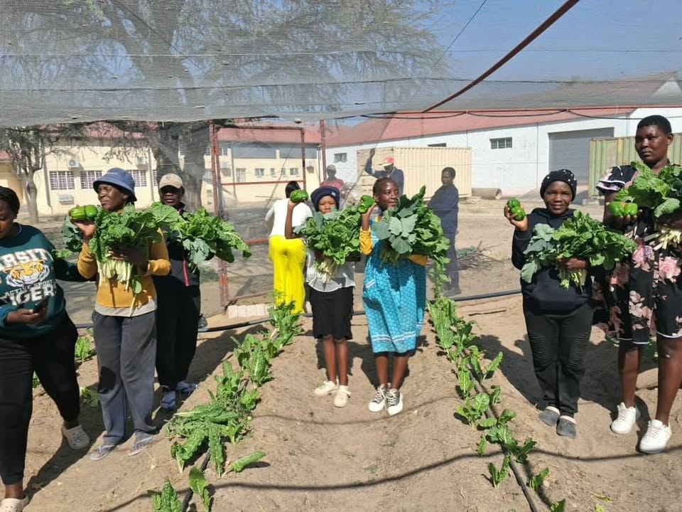 Ongwediva Town Council