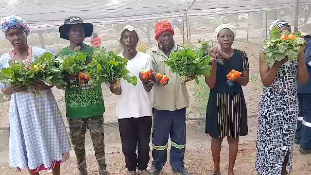 Ongwediva Town Council