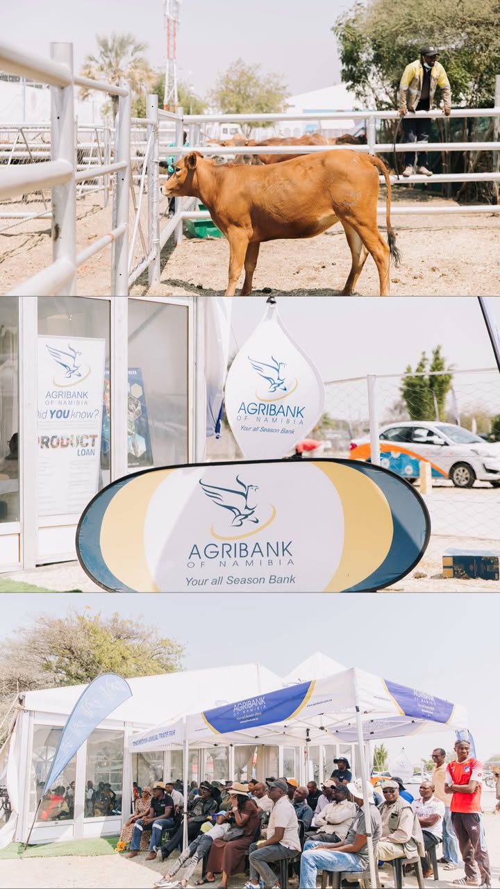 Ongwediva Town Council